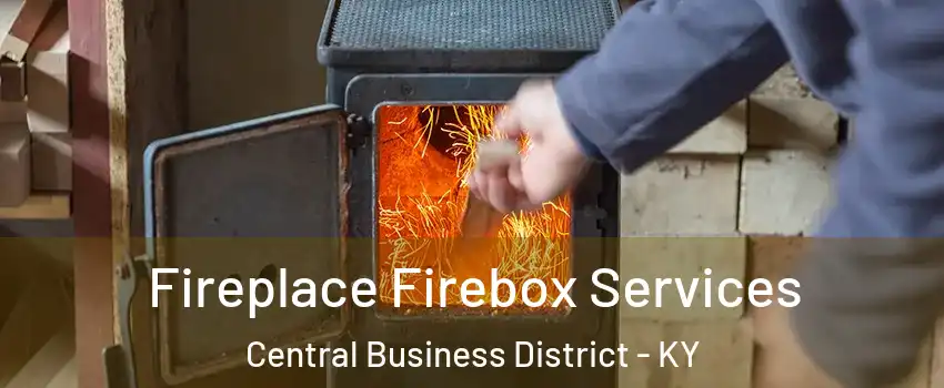 Fireplace Firebox Services Central Business District - KY