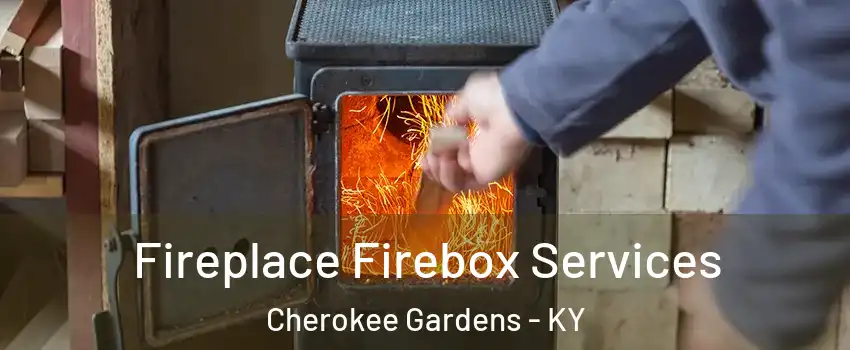 Fireplace Firebox Services Cherokee Gardens - KY