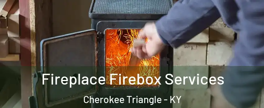 Fireplace Firebox Services Cherokee Triangle - KY