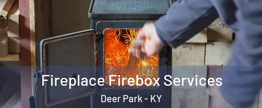 Fireplace Firebox Services Deer Park - KY