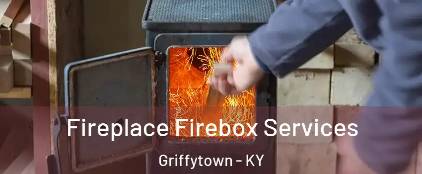 Fireplace Firebox Services Griffytown - KY