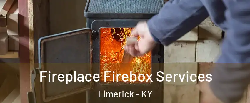 Fireplace Firebox Services Limerick - KY