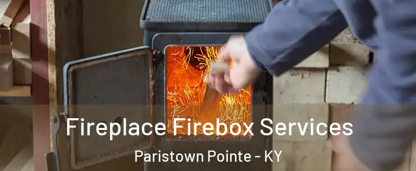 Fireplace Firebox Services Paristown Pointe - KY