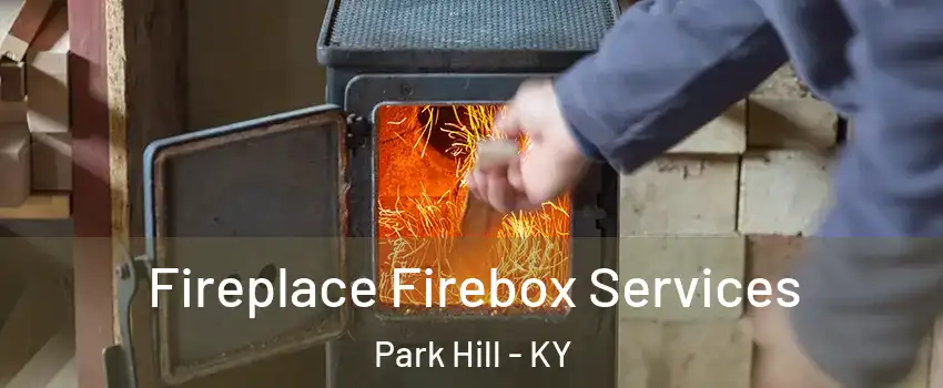 Fireplace Firebox Services Park Hill - KY