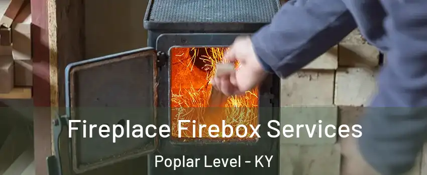 Fireplace Firebox Services Poplar Level - KY