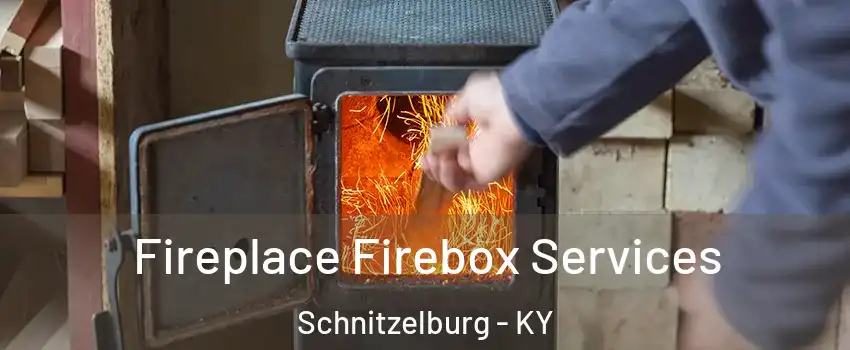 Fireplace Firebox Services Schnitzelburg - KY