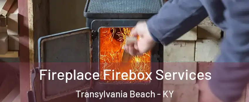 Fireplace Firebox Services Transylvania Beach - KY