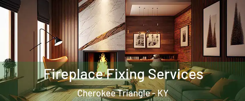 Fireplace Fixing Services Cherokee Triangle - KY