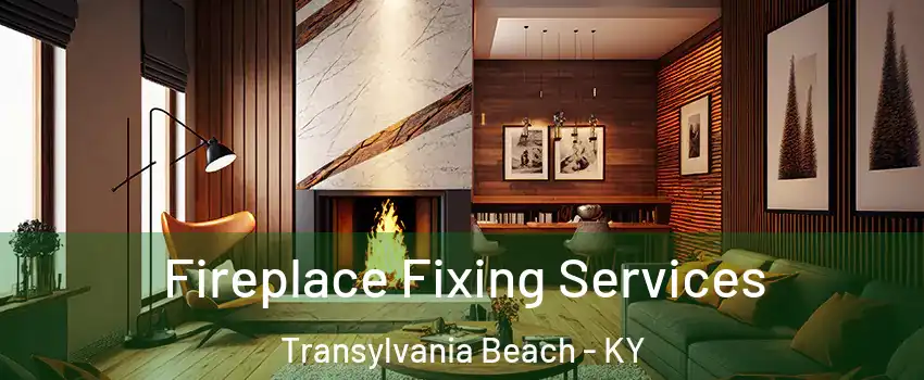 Fireplace Fixing Services Transylvania Beach - KY