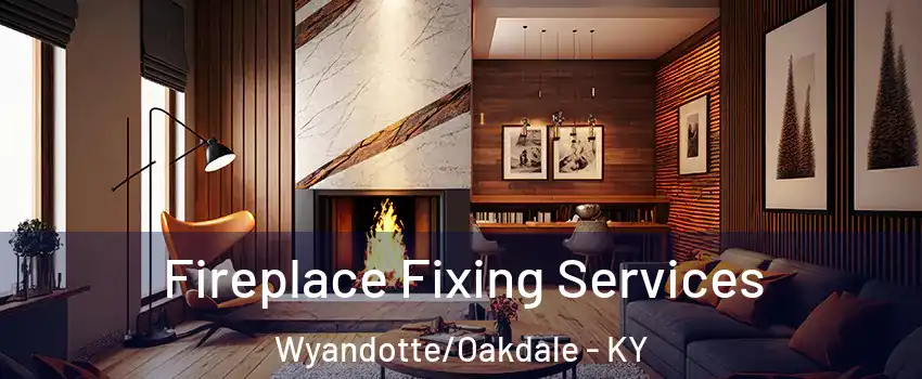 Fireplace Fixing Services Wyandotte/Oakdale - KY