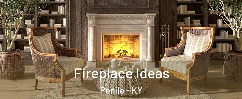 Fireplace Ideas Penile - KY