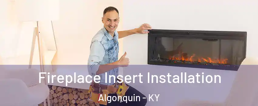 Fireplace Insert Installation Algonquin - KY