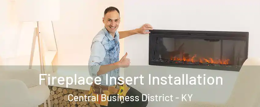 Fireplace Insert Installation Central Business District - KY