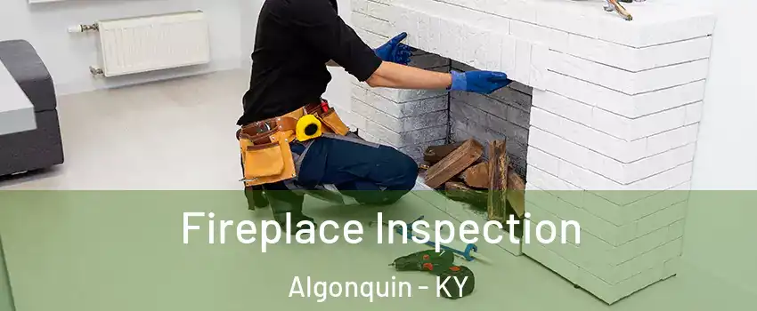 Fireplace Inspection Algonquin - KY