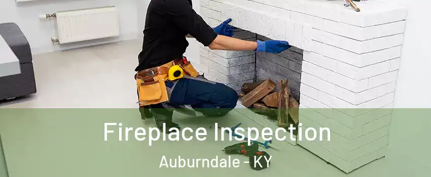 Fireplace Inspection Auburndale - KY