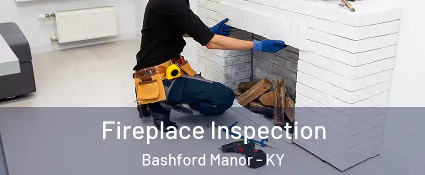 Fireplace Inspection Bashford Manor - KY