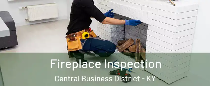 Fireplace Inspection Central Business District - KY