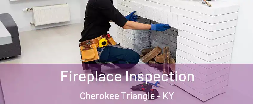 Fireplace Inspection Cherokee Triangle - KY