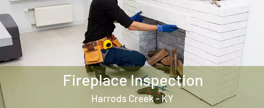 Fireplace Inspection Harrods Creek - KY