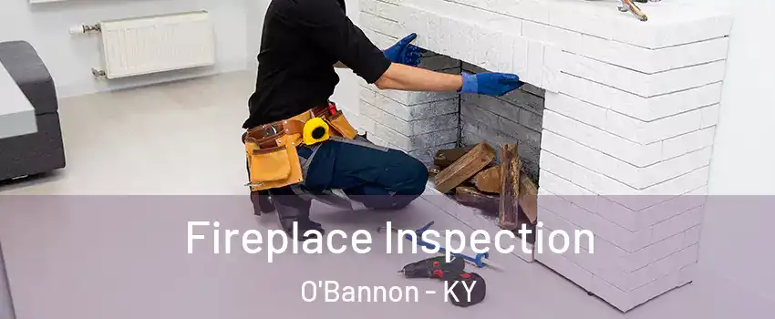 Fireplace Inspection O'Bannon - KY