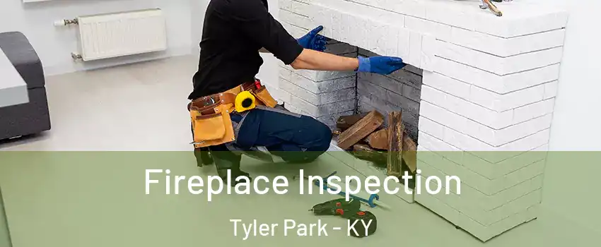 Fireplace Inspection Tyler Park - KY