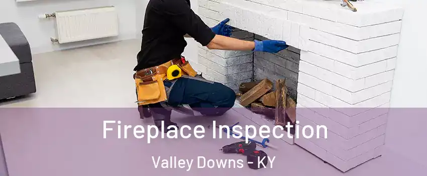 Fireplace Inspection Valley Downs - KY