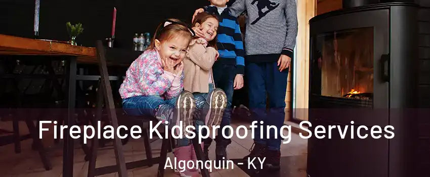 Fireplace Kidsproofing Services Algonquin - KY