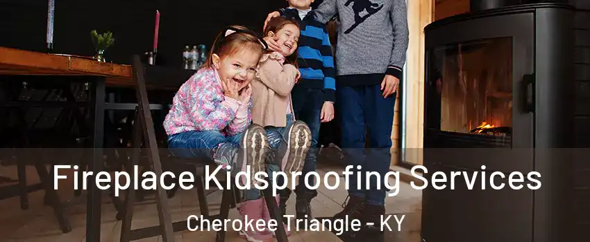 Fireplace Kidsproofing Services Cherokee Triangle - KY