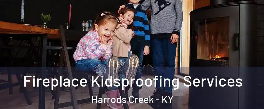 Fireplace Kidsproofing Services Harrods Creek - KY