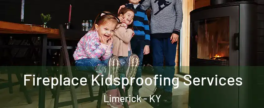 Fireplace Kidsproofing Services Limerick - KY