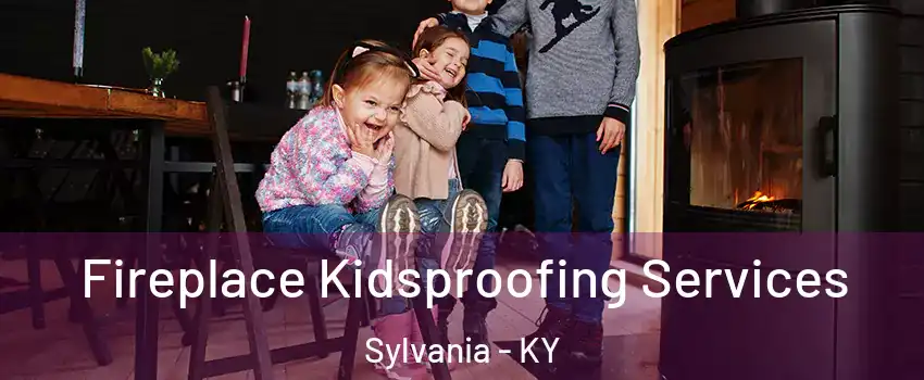 Fireplace Kidsproofing Services Sylvania - KY