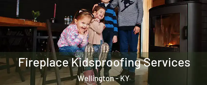 Fireplace Kidsproofing Services Wellington - KY