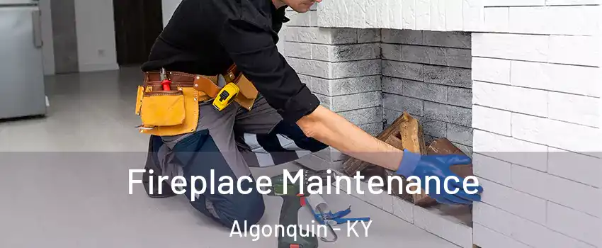 Fireplace Maintenance Algonquin - KY