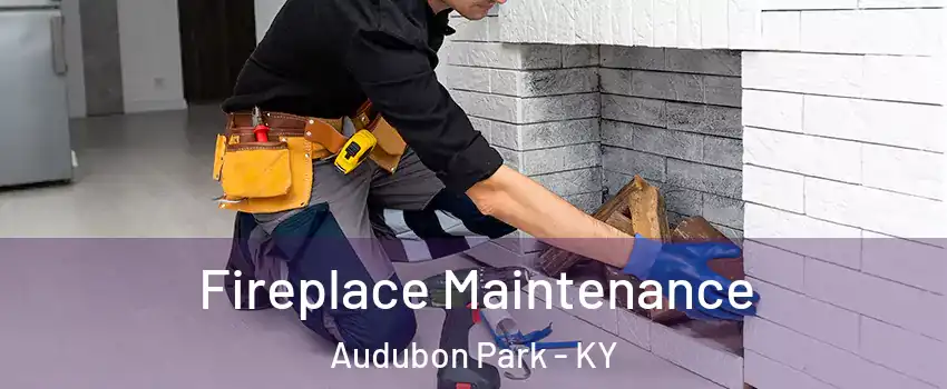 Fireplace Maintenance Audubon Park - KY