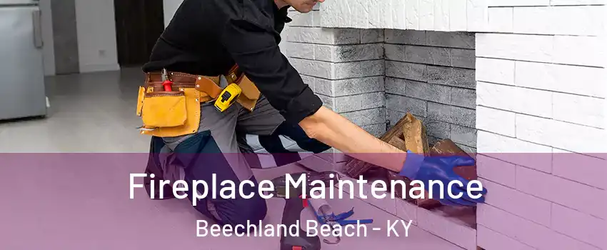 Fireplace Maintenance Beechland Beach - KY