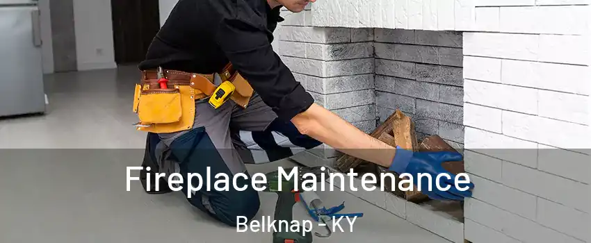 Fireplace Maintenance Belknap - KY