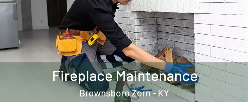 Fireplace Maintenance Brownsboro Zorn - KY