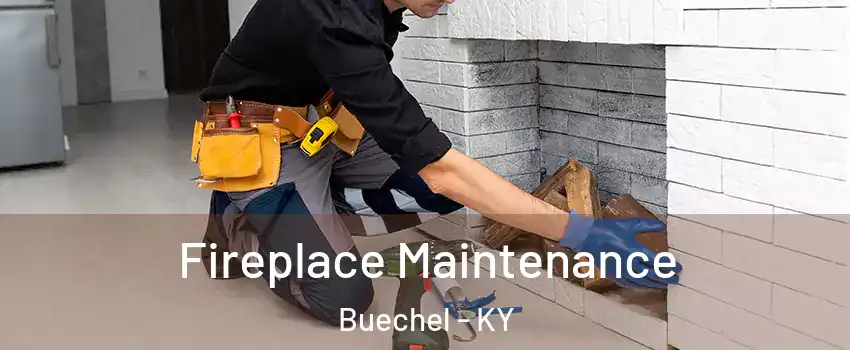 Fireplace Maintenance Buechel - KY