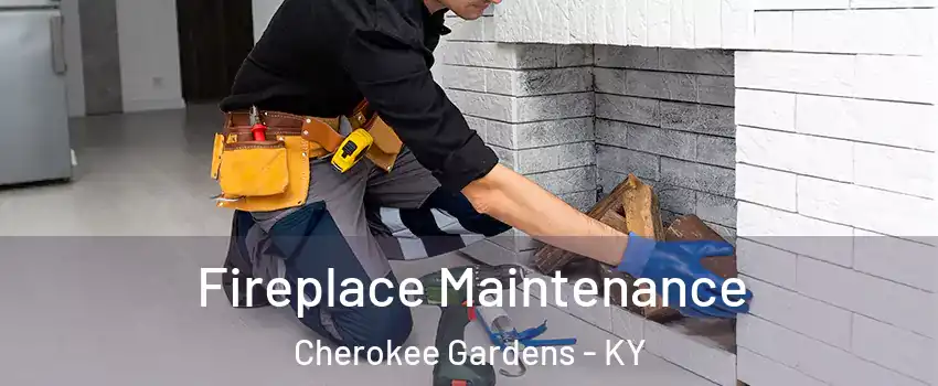 Fireplace Maintenance Cherokee Gardens - KY