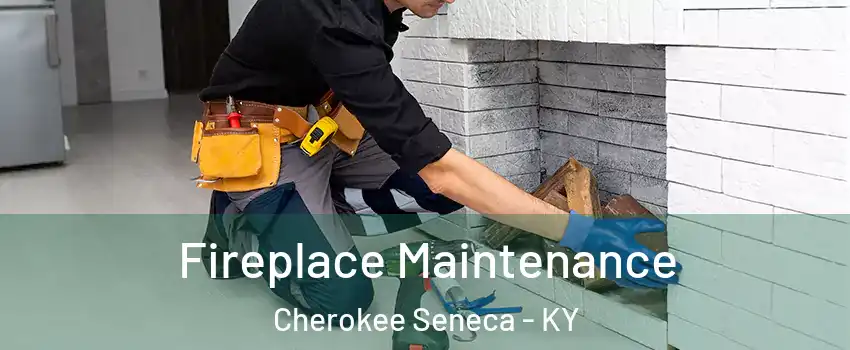 Fireplace Maintenance Cherokee Seneca - KY