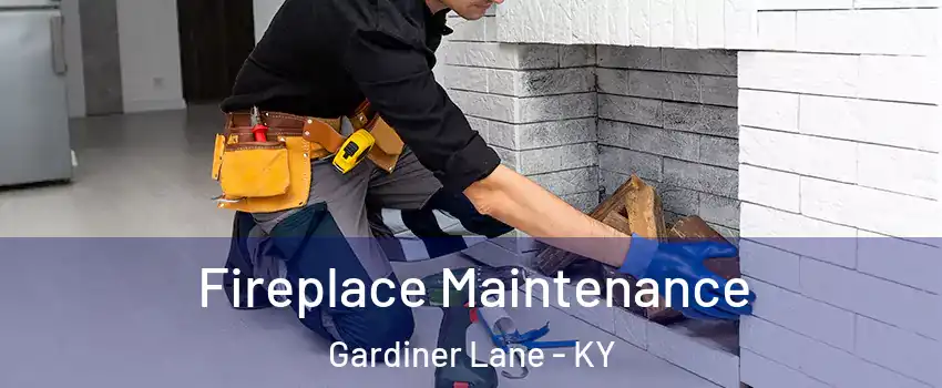 Fireplace Maintenance Gardiner Lane - KY