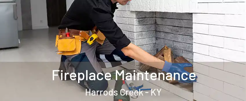 Fireplace Maintenance Harrods Creek - KY