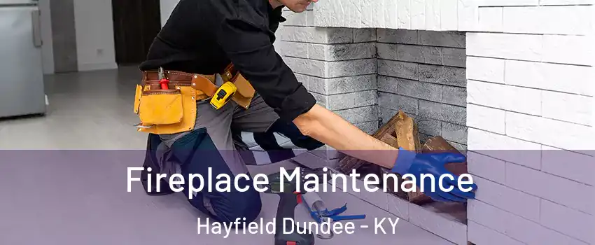 Fireplace Maintenance Hayfield Dundee - KY