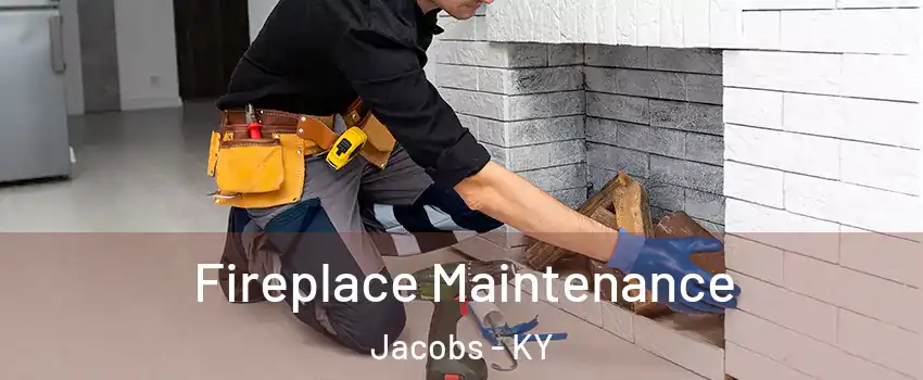 Fireplace Maintenance Jacobs - KY