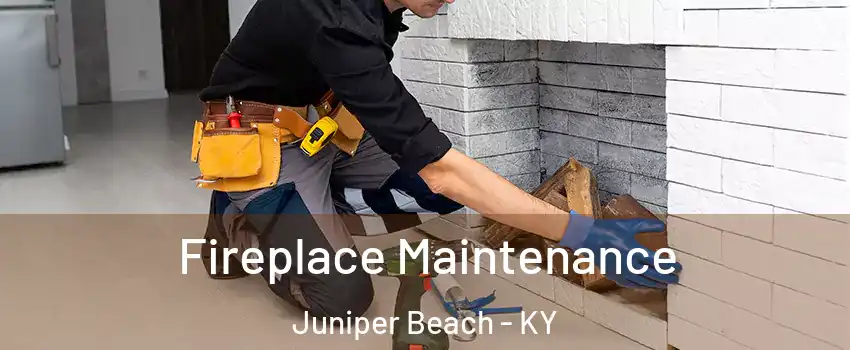 Fireplace Maintenance Juniper Beach - KY