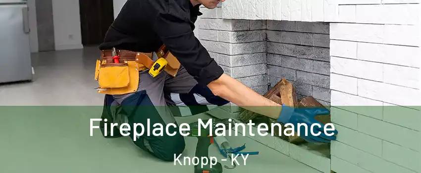 Fireplace Maintenance Knopp - KY