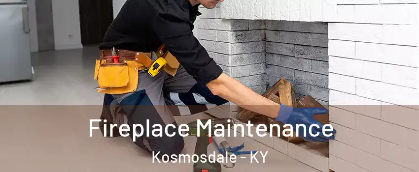 Fireplace Maintenance Kosmosdale - KY