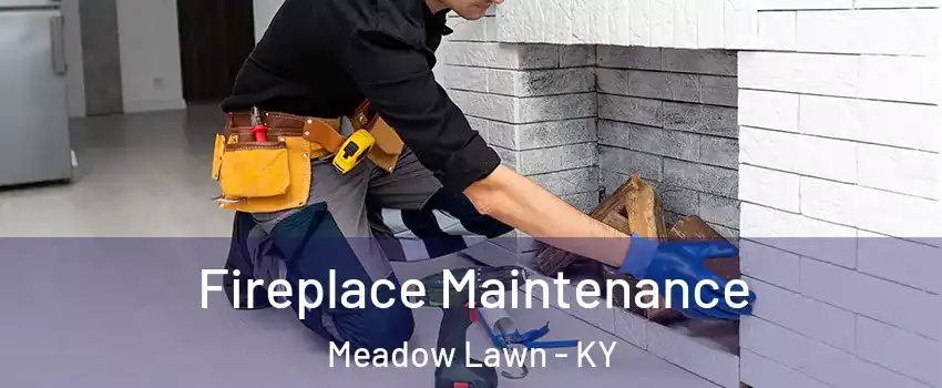 Fireplace Maintenance Meadow Lawn - KY