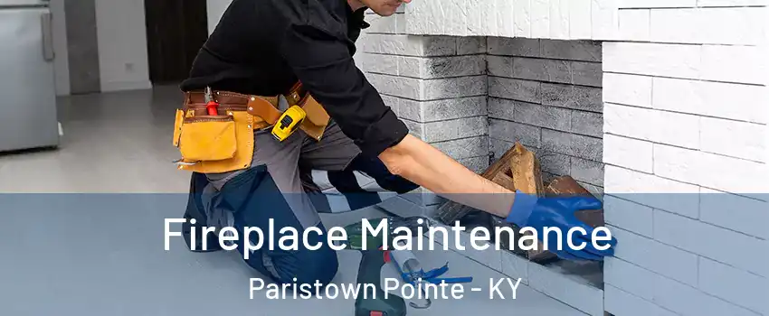 Fireplace Maintenance Paristown Pointe - KY