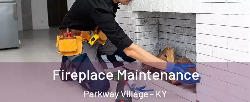 Fireplace Maintenance Parkway Village - KY